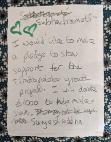 Example of a donation pledge letter